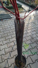 Osłonka na pnie drzew 80cm