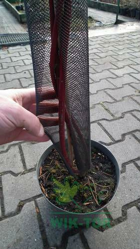 Osłonka na pnie drzew 80cm