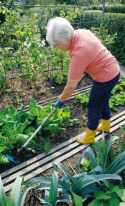 Trzonek drewniany 150cm Combisystem 3725