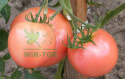Organiczny nawóz do pomidorów Agrecol 1kg Viano