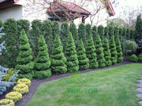 Humus active papka do iglaków 1,2l