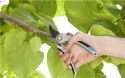 Sekator ogrodowy Alu B/L 8906