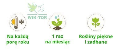 Florovit vital complex aplikator do roślin zielonych 30ml