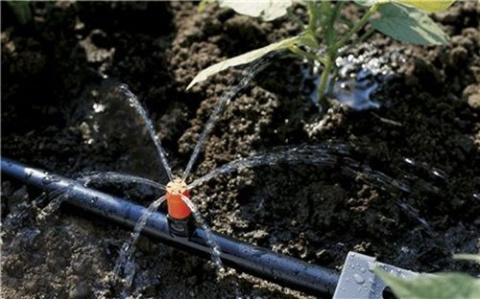 Dysza zraszająca końcowa do małych powierzchni 8320 Micro-Drip