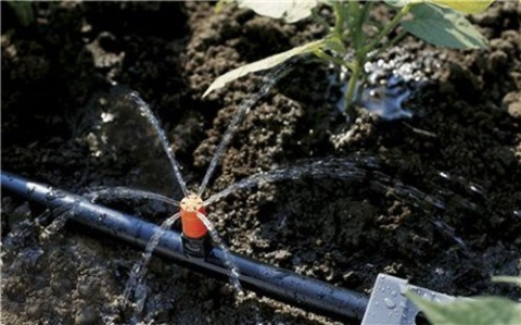 Dysza zraszająca rzędowa do małych powierzchni 8321 Micro-Drip
