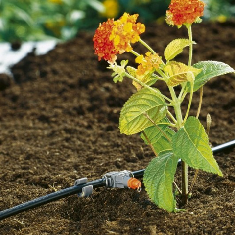 Kroplownik rzędowy 2l/h 8343 Micro-Drip