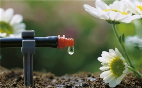 Zestaw podstawowy M do roślin doniczkowych 4,6mm 13001 Micro-Drip