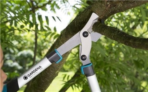 Sekator do gałęzi EnergyCut 600B 12006