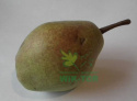 Nawóz granulowany do drzew i krzewów owocowych Sumin 1kg