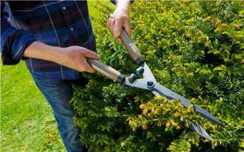 Nożyce do żywopłotu 12300 NatureCut