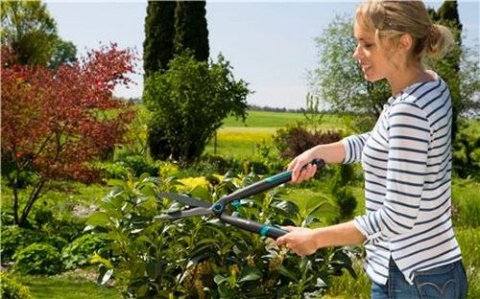 Nożyce do żywopłotu EasyCut 12301