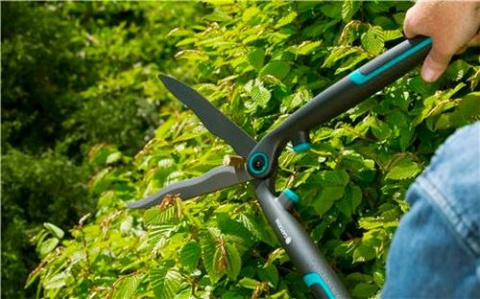 Nożyce do żywopłotu EasyCut 12301