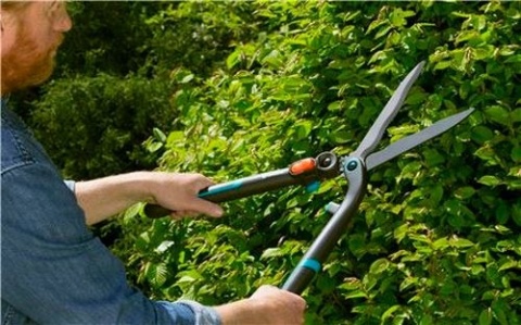 Nożyce do żywopłotu 2w1 12303 EnergyCut