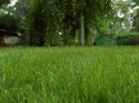 Nawóz granulowany do trawników 10kg+20% GRATIS Sumin