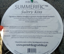 Ketmia bylinowa Summerific Sultry Kiss Hibiskus