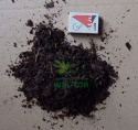 Kora sosnowa drobna 80l