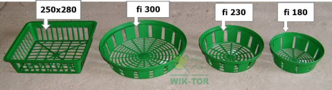 Tulipan strzępiasty Fringed Black 5szt