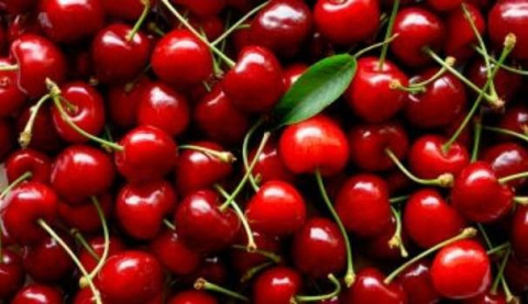Wiśnia Glaza
