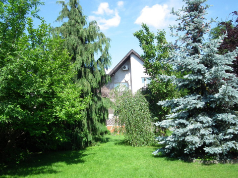 Nawóz do iglaków 1l mineral żel