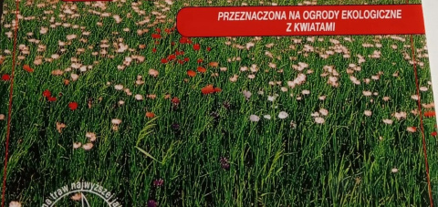 Trawa Polska Łączka 1kg Centnas