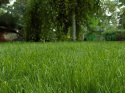 Nawóz granulowany extra zieleń do trawników Sumin 1kg