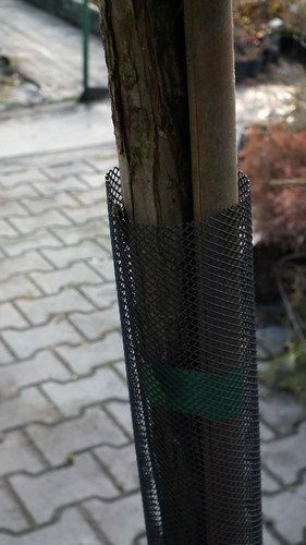 Osłonka na pnie drzewek 8x80cm