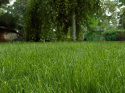Substral trawa samo zagęszczająca renowacyjna 5kg