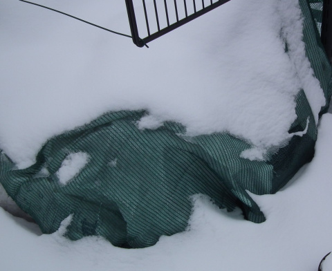 Siatka cieniująca cieniówka 150cmx10