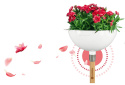 Donica ClickUp 11320