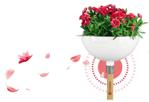 Donica ClickUp 11320