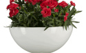 Donica ClickUp 11320
