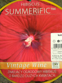 Ketmia bylinowa Hibiskus Summerific Vintage Wine