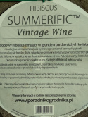 Ketmia bylinowa Hibiskus Summerific Vintage Wine