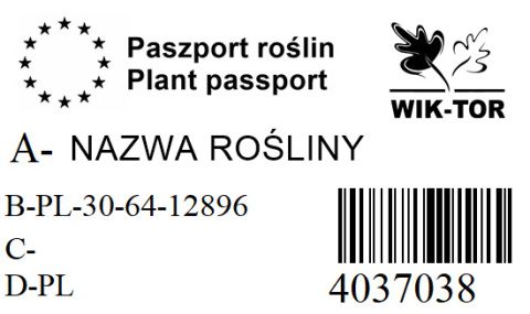 Tulipan Agrass White biały 10szt