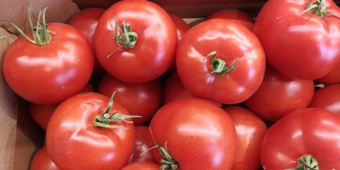 Nawóz granulowany do pomidorów i innych warzyw Sumin 1kg