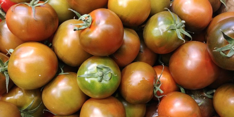 Nawóz granulowany do pomidorów i innych warzyw Sumin 1kg