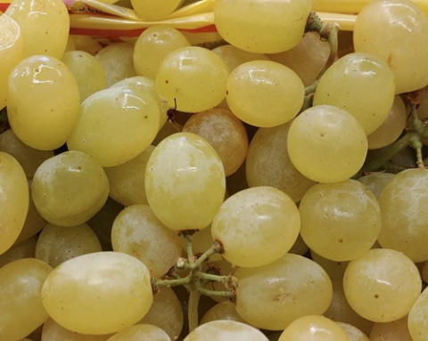 Nawóz granulowany do winorośli Sumin 1kg