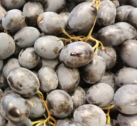 Nawóz granulowany do winorośli Sumin 1kg