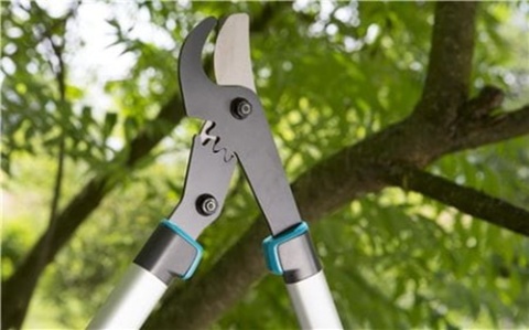 Sekator do gałęzi EnergyCut 600B 12006