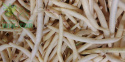 Fasola Sonesta 30g