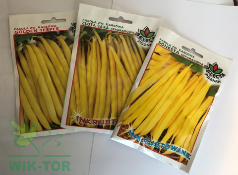 Fasola Sonesta 30g
