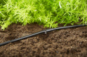 Linia kroplująca 4,6mm do rzędów roślin 15m zestaw S 13010 Micro-Drip
