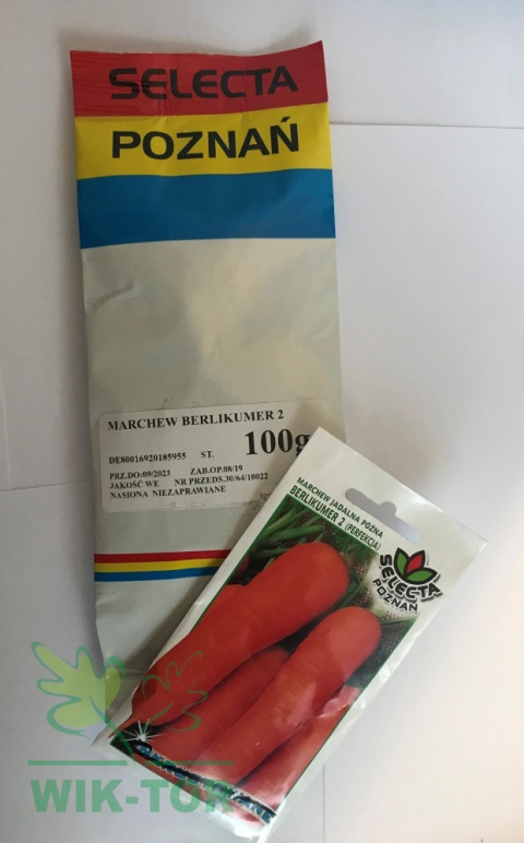 Marchew Berlikumer 2 Perfekcja 100g