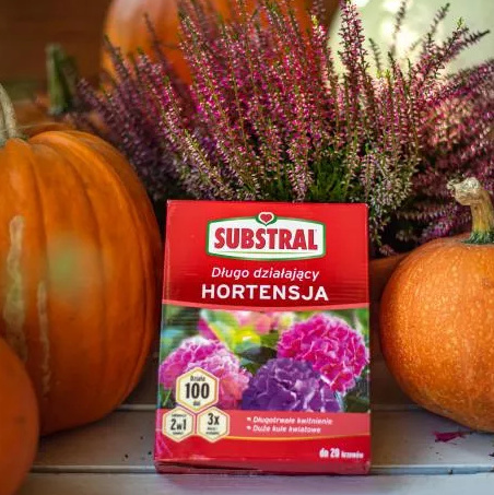 Nawóz 100 dni do Hortensji 2w1 1kg Substral