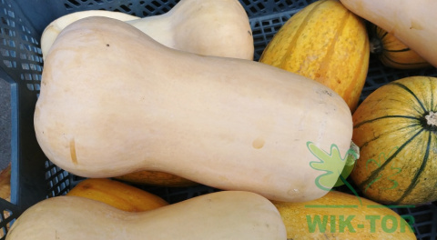 Nawóz granulowany do pomidorów i innych warzyw Sumin 1kg