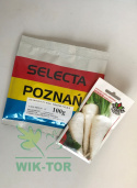 Pietruszka korzeniowa Ołomuńcka 100g