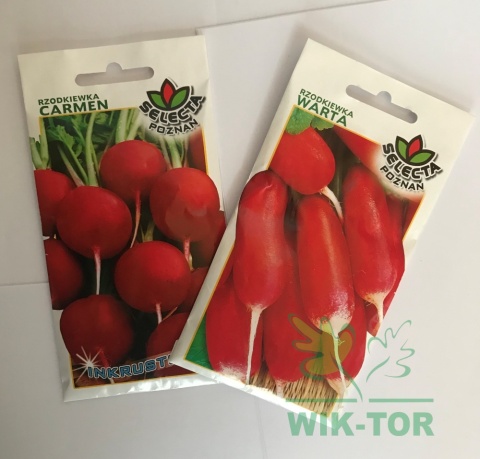 Rzodkiewka Warta 100g