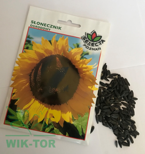 Słonecznik ogrodowy 10g