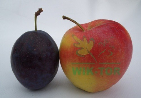 Nawóz granulowany do drzew i krzewów owocowych Sumin 2,5kg