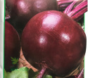 Burak Czerwona Kula 500g